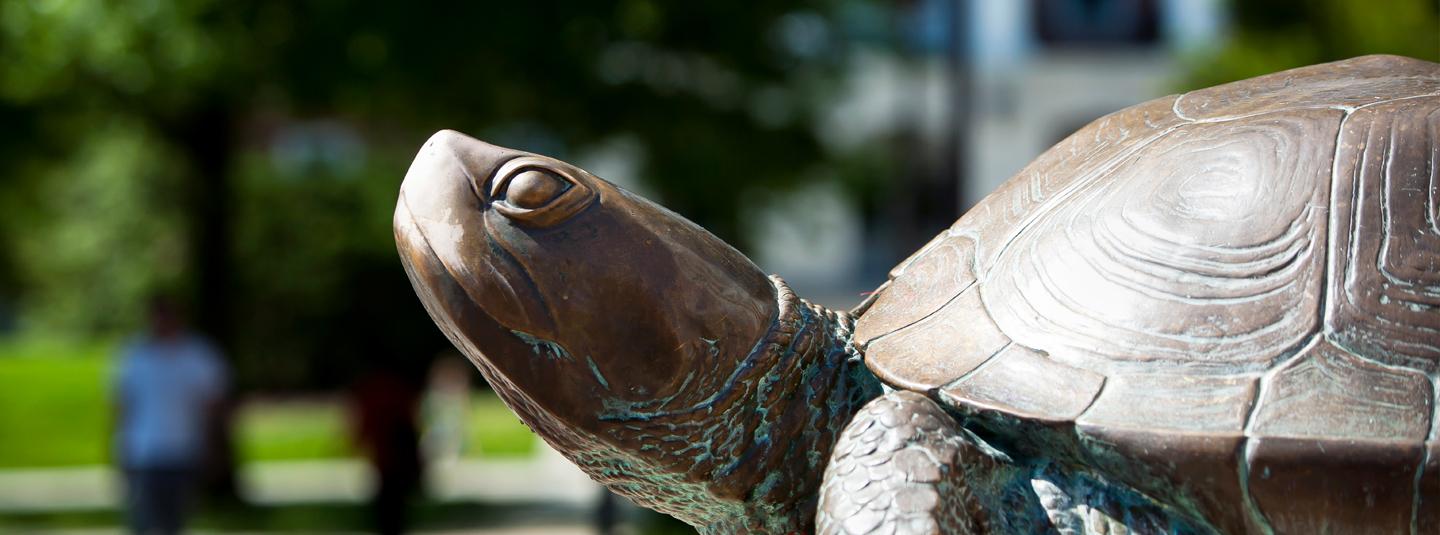 testudo